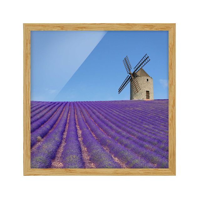 Pósters enmarcados de paisajes Lavender Scent In The Provence