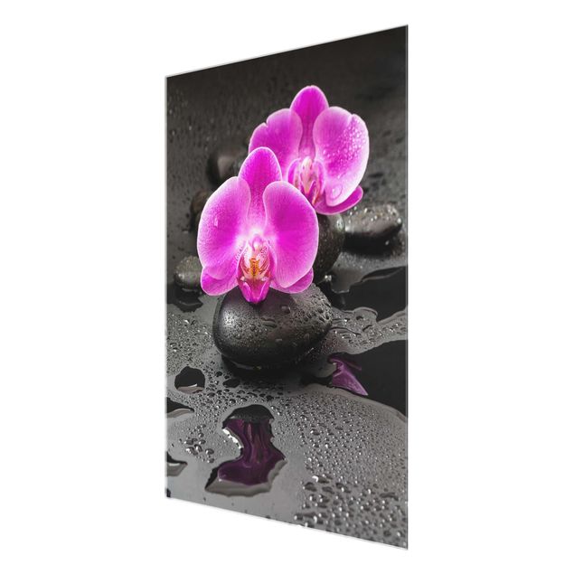 Cuadros flores Pink Orchid Flower On Stones With Drops