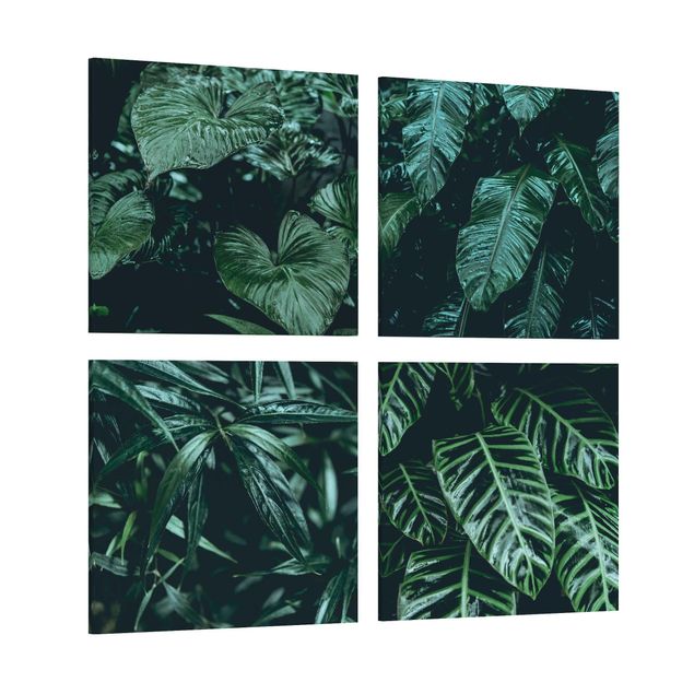 Cuadros tonos verdes Tropical Plants