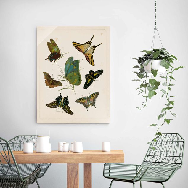 Cuadros de mariposas modernos Vintage Illustration Exotic Butterflies