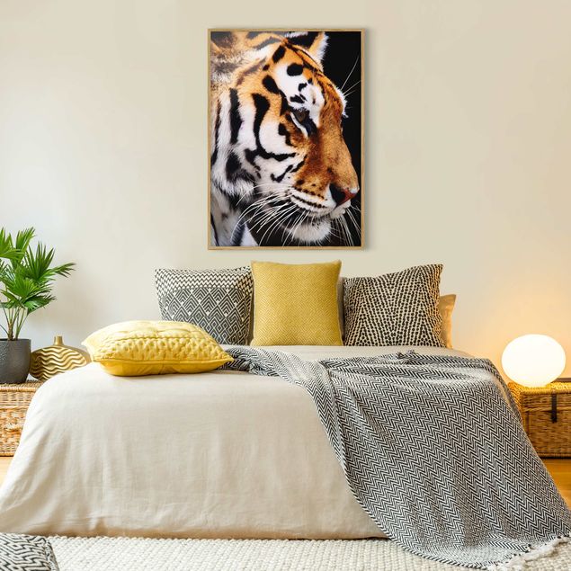 Pósters enmarcados de animales Tiger Beauty