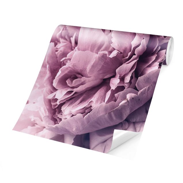 Papeles pintados modernos Purple Peony Blossoms