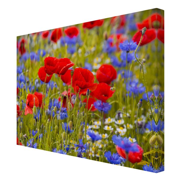 Cuadros de flores modernos Summer Meadow With Poppies And Cornflowers