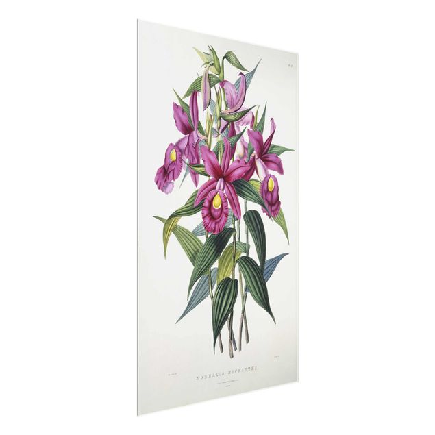 Reproducciones de cuadros Maxim Gauci - Orchid I