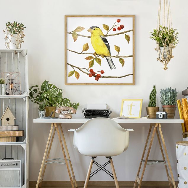 Pósters enmarcados de animales Birds And Berries - American Goldfinch