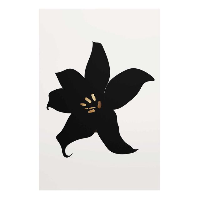Cuadros de cristal flores Graphical Plant World - Orchid Black And Gold