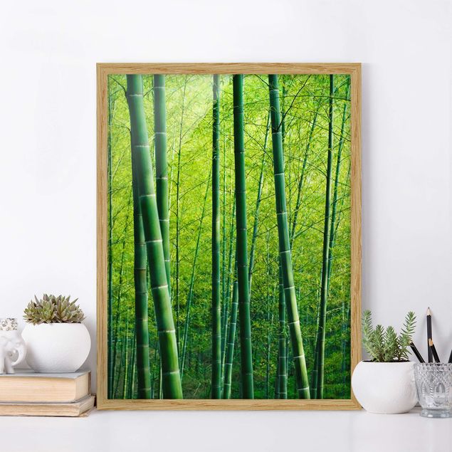 Decoración de cocinas Bamboo Forest