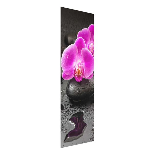 Cuadros de cristal flores Pink Orchid Flower On Stones With Drops