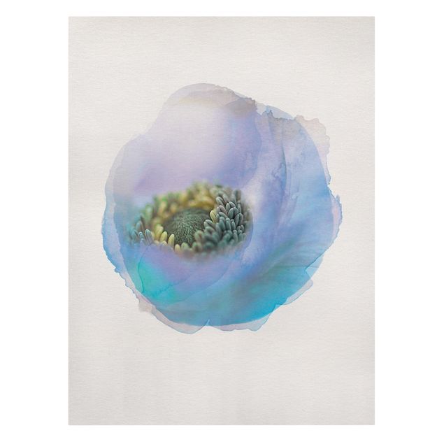 Cuadros WaterColours - Anemone On The River