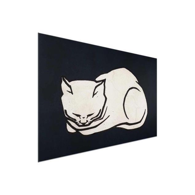 Cuadros de cristal animales Sleeping Cat Illustration