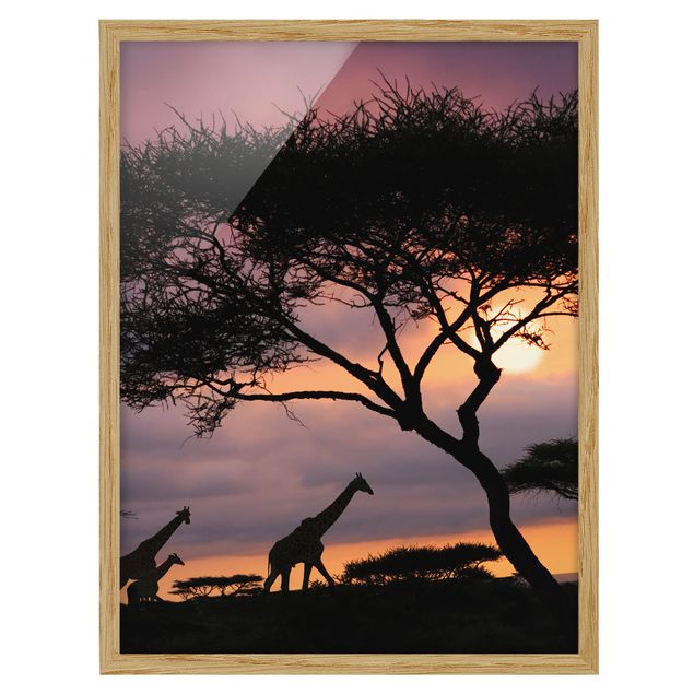 Cuadro con paisajes African Safari