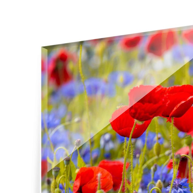 Cuadros rojos Summer Meadow With Poppies And Cornflowers
