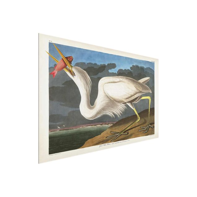 Cuadros retro Vintage Board Great White Egret