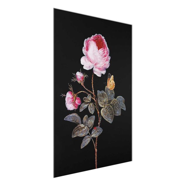 Reproducciones de cuadros Barbara Regina Dietzsch - The Hundred-Petalled Rose