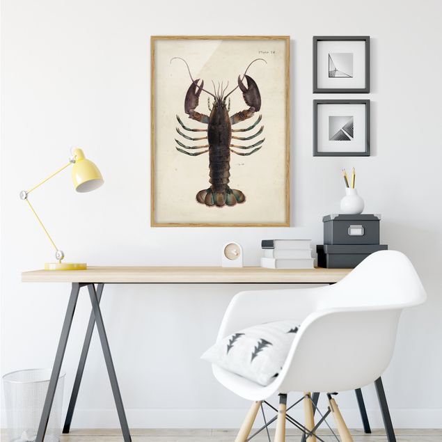 Pósters enmarcados vintage Vintage Illustration Lobster