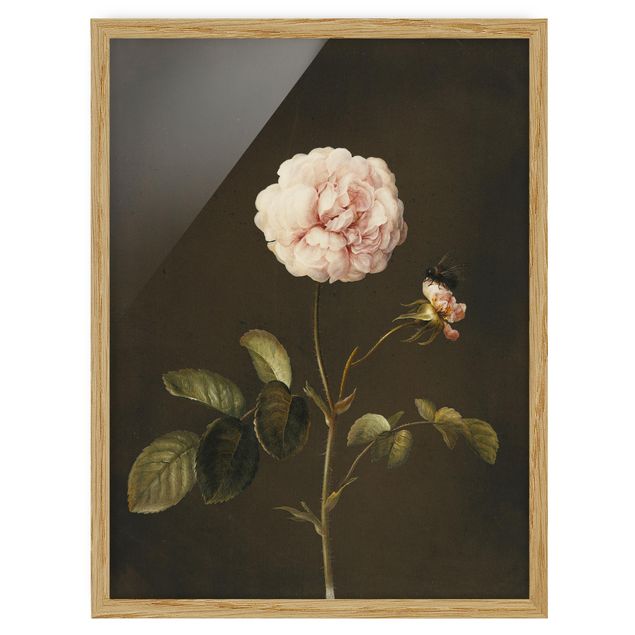 Estilos artísticos Barbara Regina Dietzsch - French Rose With Bumblbee