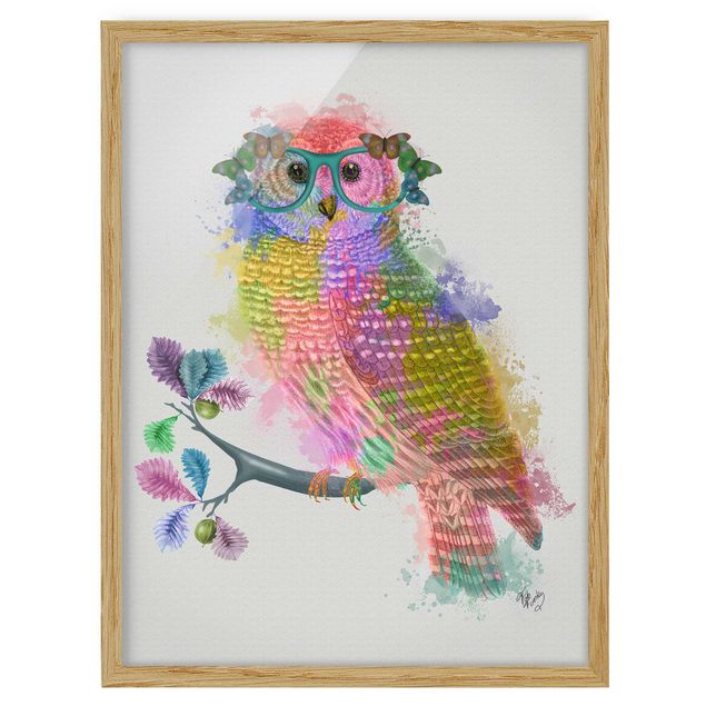 Cuadros de animales Rainbow Splash Owl