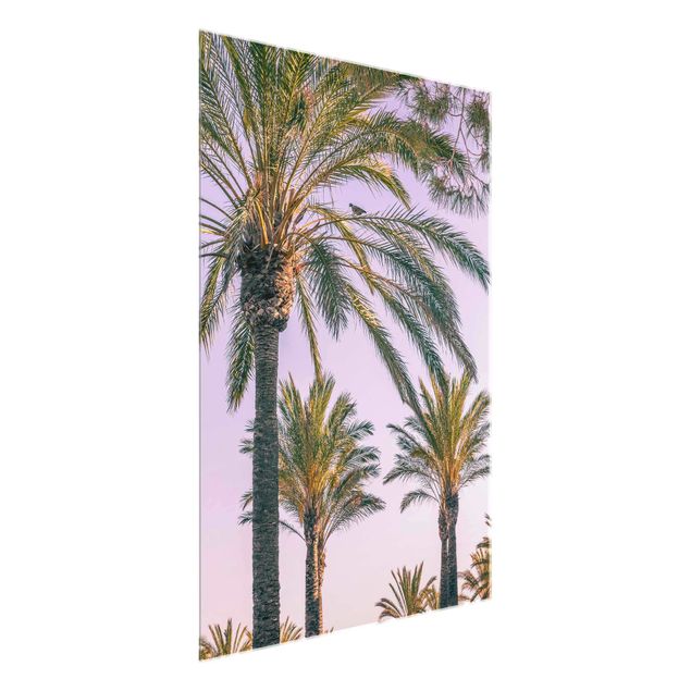 Cuadros de cristal flores Palm Trees At Sunset