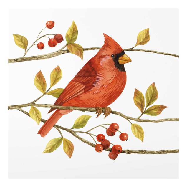 Cuadros Birds And Berries - Northern Cardinal