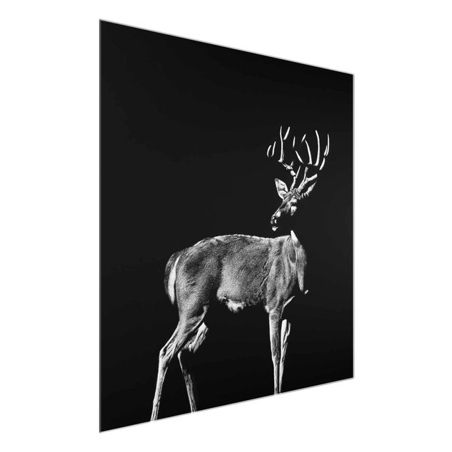 Cuadros de cristal animales Deer In The Dark