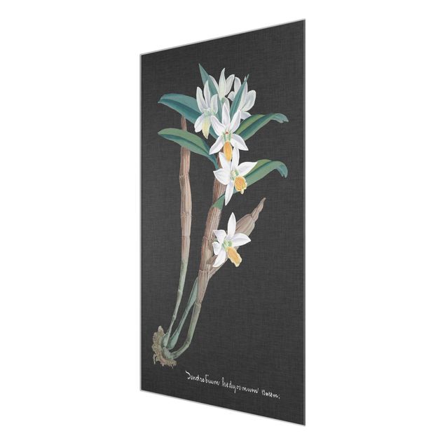 Cuadros de flores modernos White Orchid On Linen I