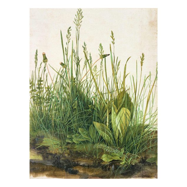 Cuadros de cristal flores Albrecht Dürer - The Great Lawn