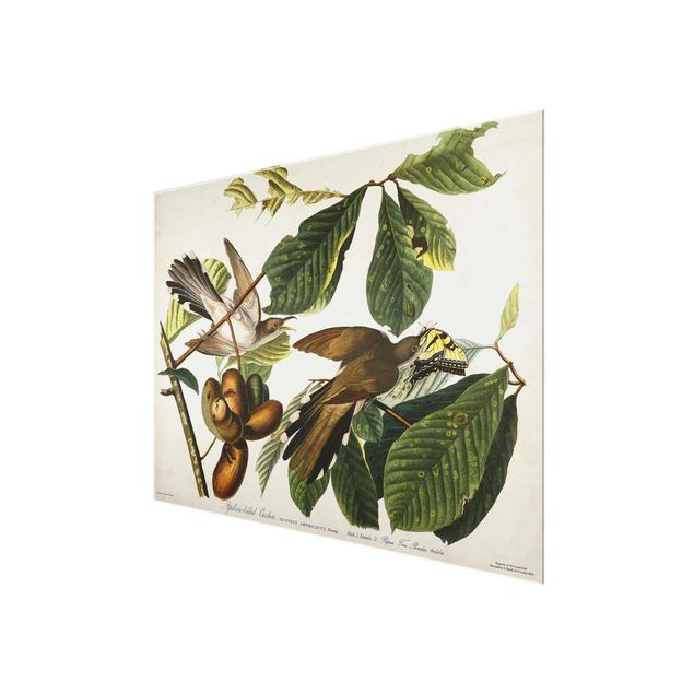 Cuadros plantas Vintage Board Cuckoo II