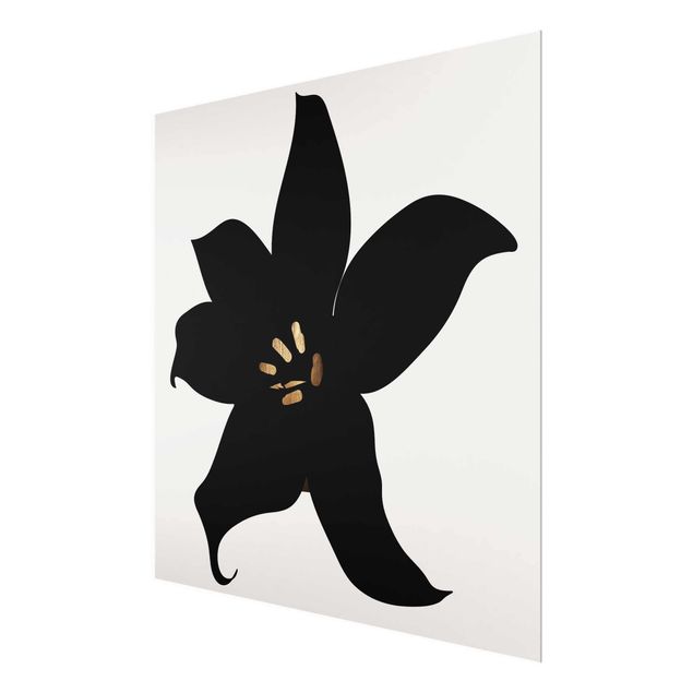 Cuadros de cristal blanco y negro Graphical Plant World - Orchid Black And Gold