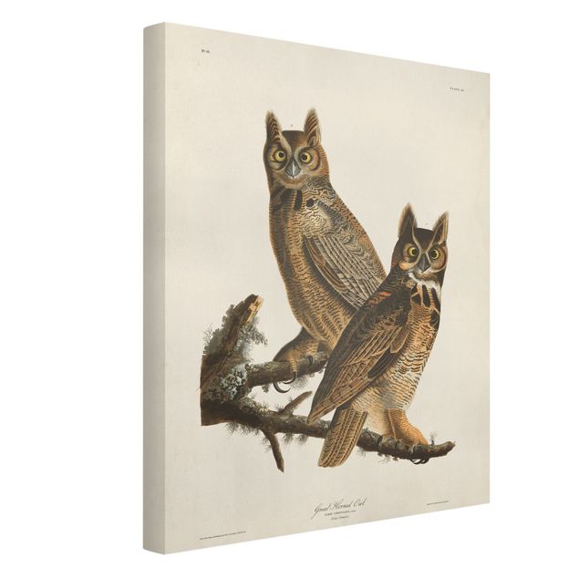 Lienzos animal Vintage Board Two Large Owls