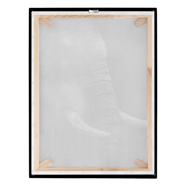 Lienzos animales Dark Elephant Portrait