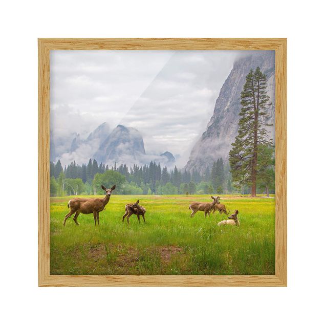 Pósters enmarcados de paisajes Deer In The Mountains