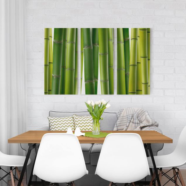 Lienzos de bambú Bamboo Plants