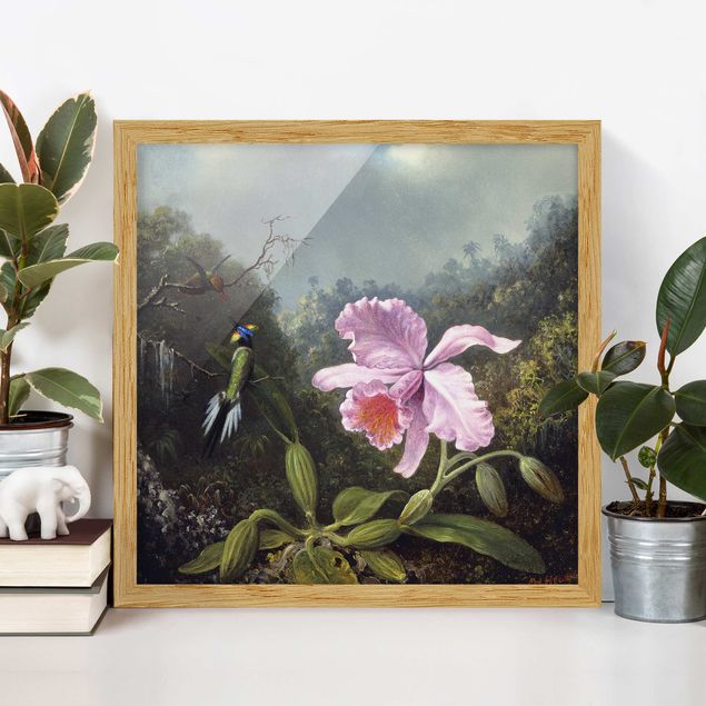 Cuadros de orquideas Martin Johnson Heade - Still Life With An Orchid And A Pair Of Hummingbirds
