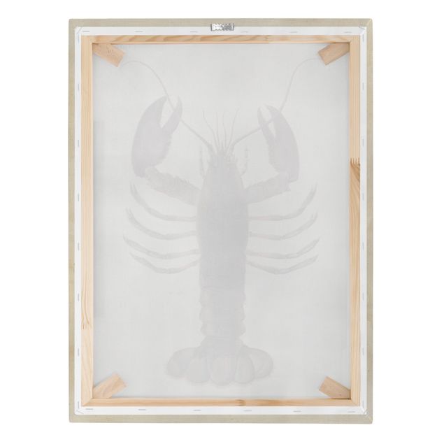 Lienzos decorativos Vintage Illustration Lobster