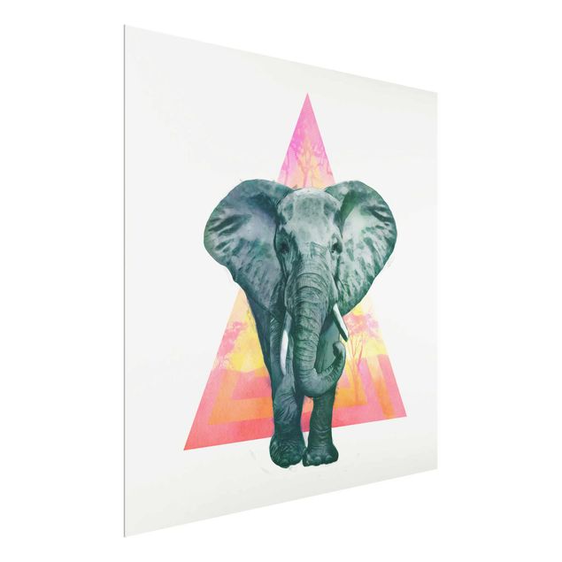 Cuadros de cristal animales Illustration Elephant Front Triangle Painting