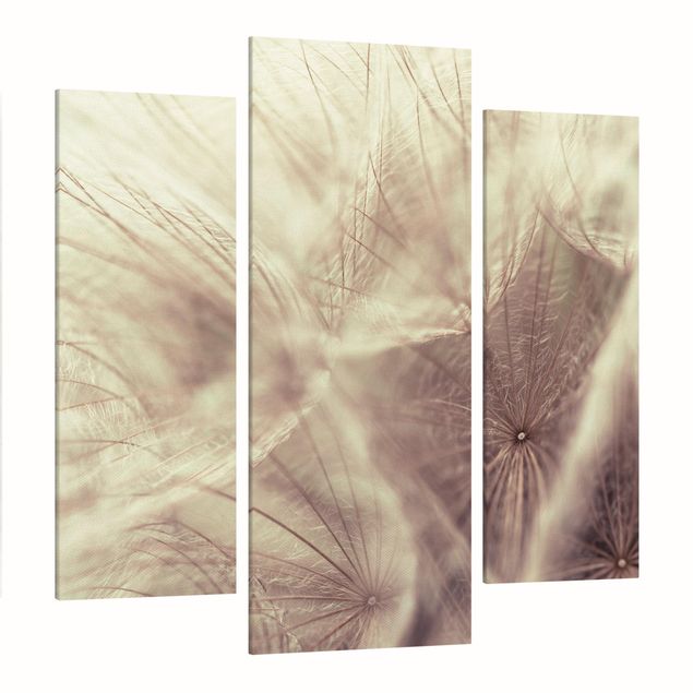 Lienzos de flores Detailed Dandelion Macro Shot With Vintage Blur Effect
