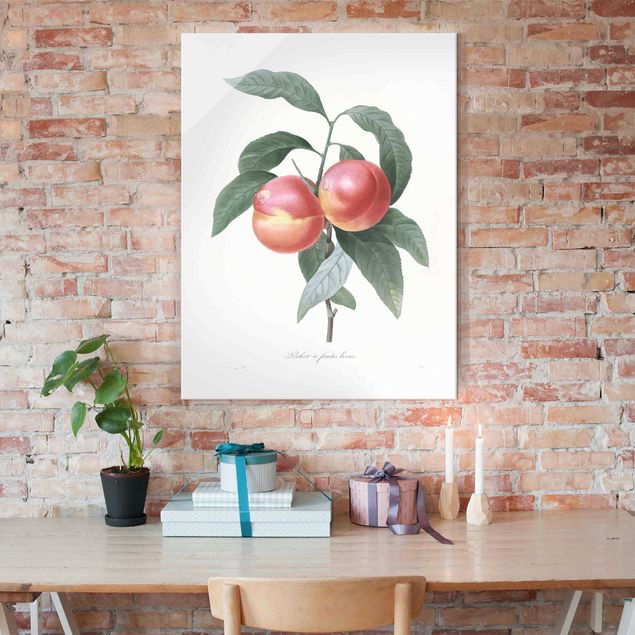 Cuadros de frutas Botany Vintage Illustration Peach