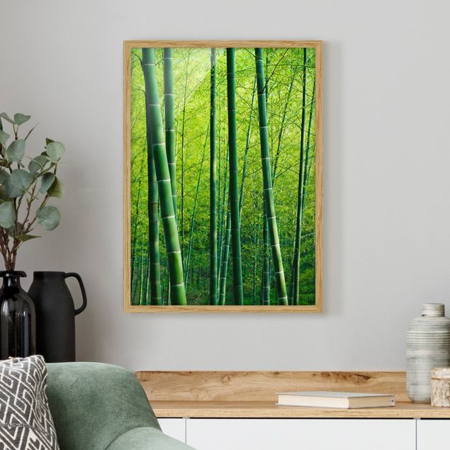 Cuadros de árboles Bamboo Forest
