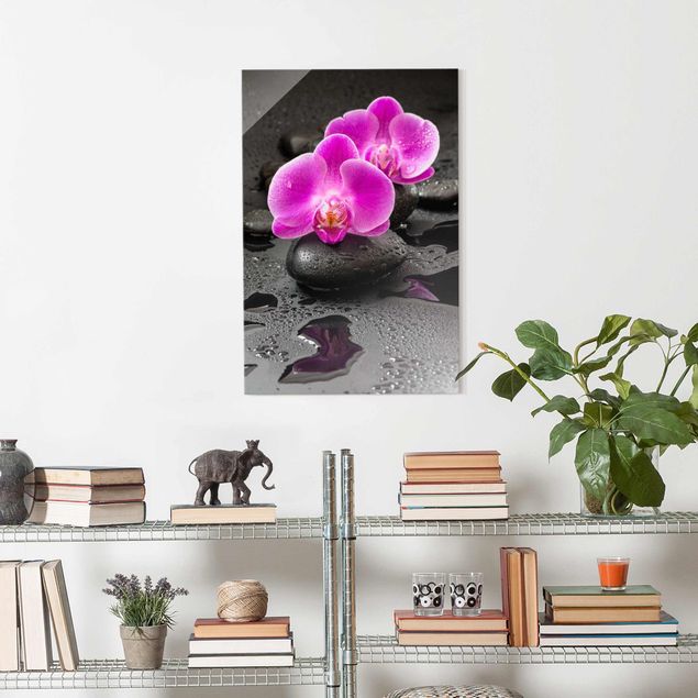 Cuadros de orquideas blancas Pink Orchid Flower On Stones With Drops