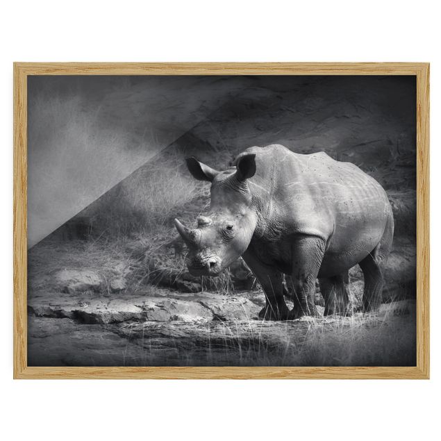 Pósters enmarcados de animales Lonesome Rhinoceros