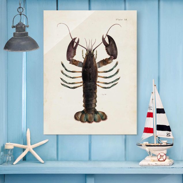 Decoración en la cocina Vintage Illustration Lobster