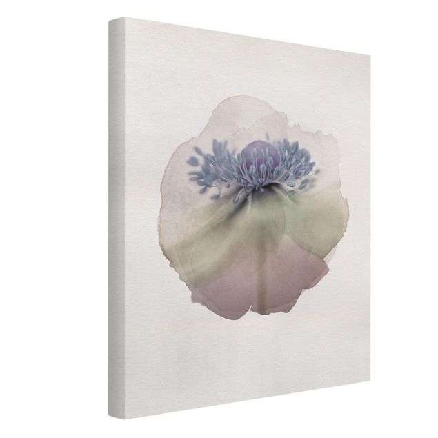Cuadros de flores WaterColours - Anemone In Violet
