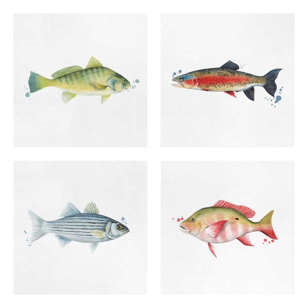 Lienzos animales Ink Trap - Fish Set I