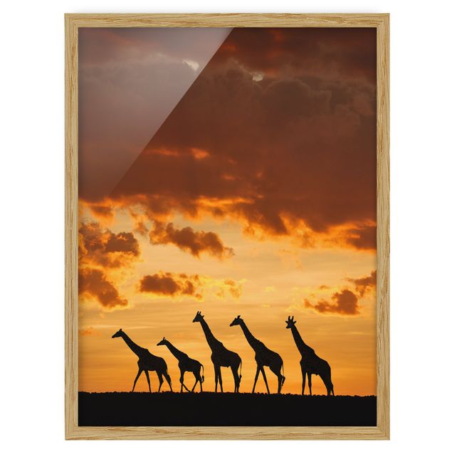 Cuadros de África Five Giraffes
