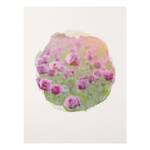 Cuadros de cristal flores WaterColours - Violet Poppy Flowers Meadow In Spring