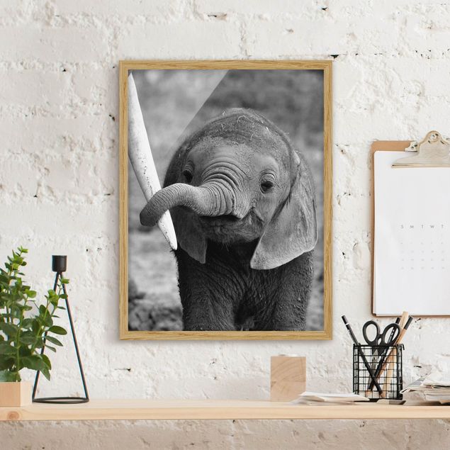 Decoración infantil pared Baby Elephant