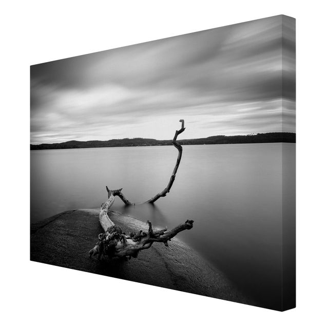 Cuadros de naturaleza Sunset In Black And White By The Lake