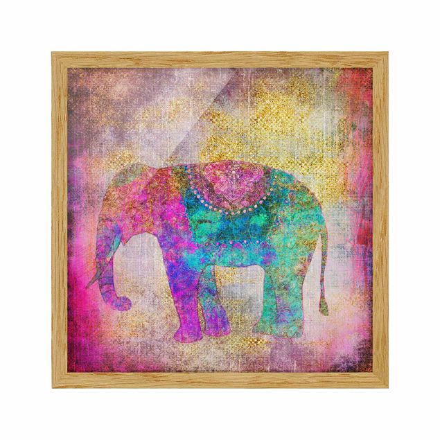 Cuadros famosos Colourful Collage - Indian Elephant