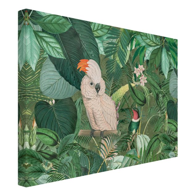 Cuadros de plantas Vintage Collage - Kakadu And Hummingbird