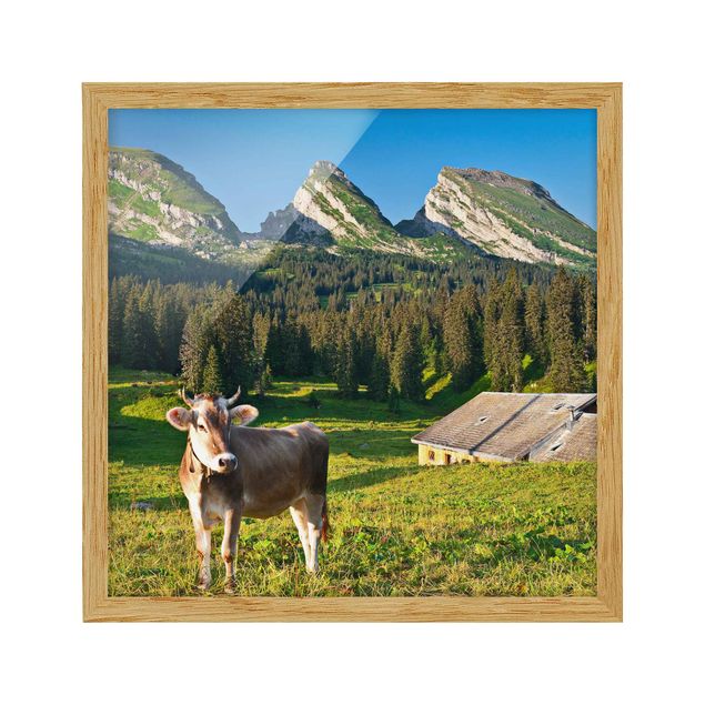 Cuadros de paisajes de montañas Swiss Alpine Meadow With Cow